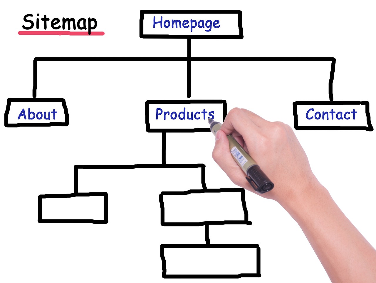 How to Use Schema Markup to Enhance SEO for U.S. Businesses